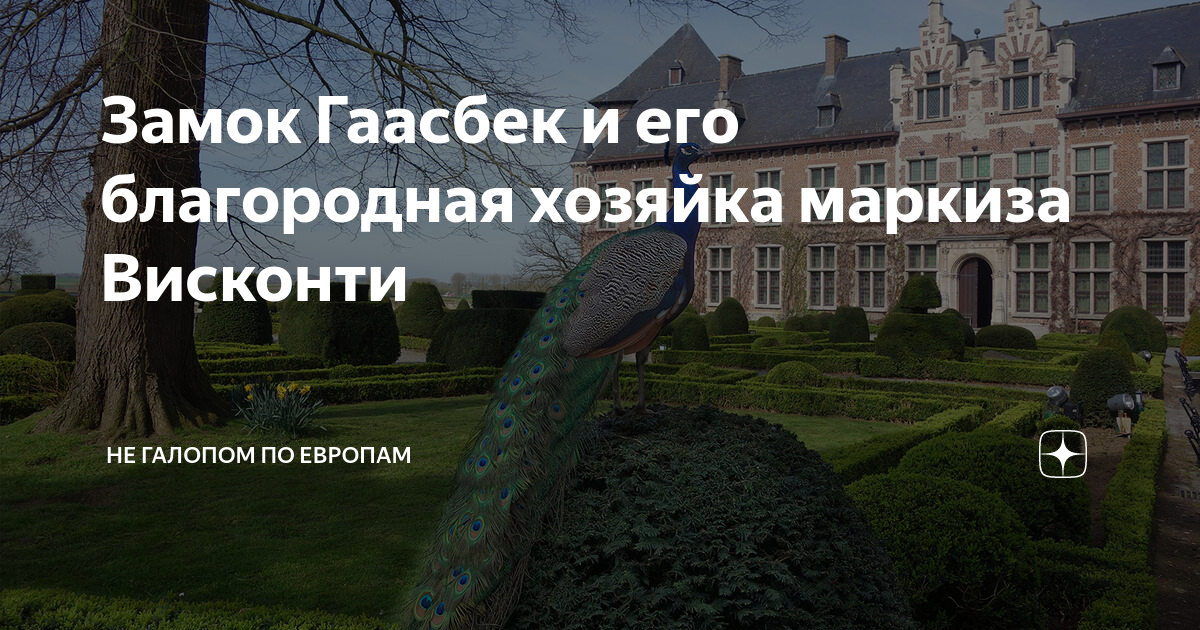 Биография пьера ришара