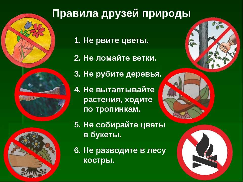 «богемская рапсодия»: что было на самом деле | синемафия