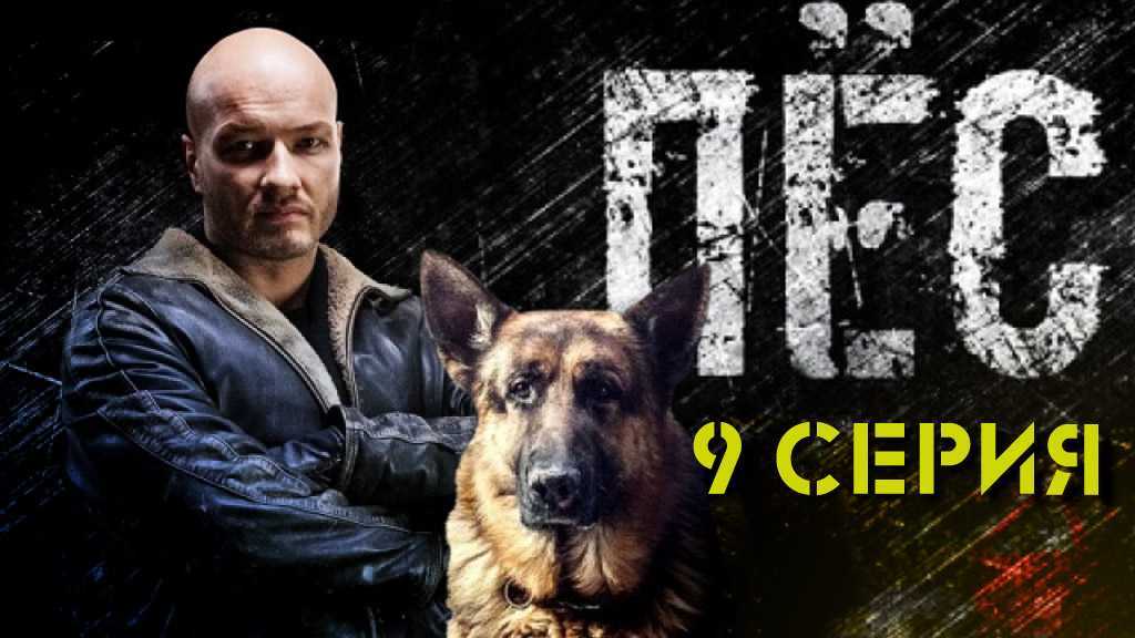 Пес 7 сезон: дата выхода сериала