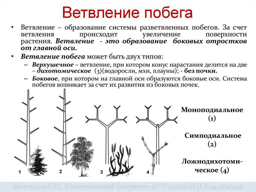 Побег не поможет узнать дату выхода 6 сезона
