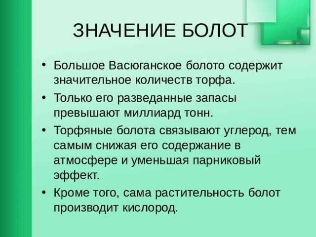 Роль болот. Значение болот. Значение болота в природе. 5 Значений болота. Значение болот для природы и человека.