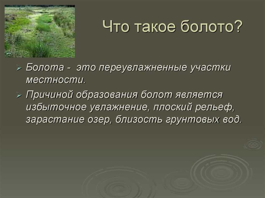 Признаки болота. Болота презентация. Сообщение о болоте. Сообщение про болото. Сообщение на тему болото.