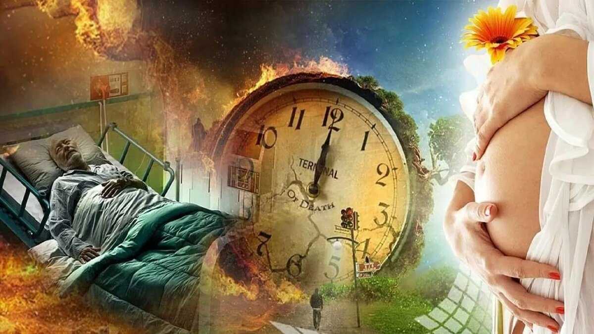 Кто такая жанна на самом деле: разбор фильма-головоломки «не оглядывайся»