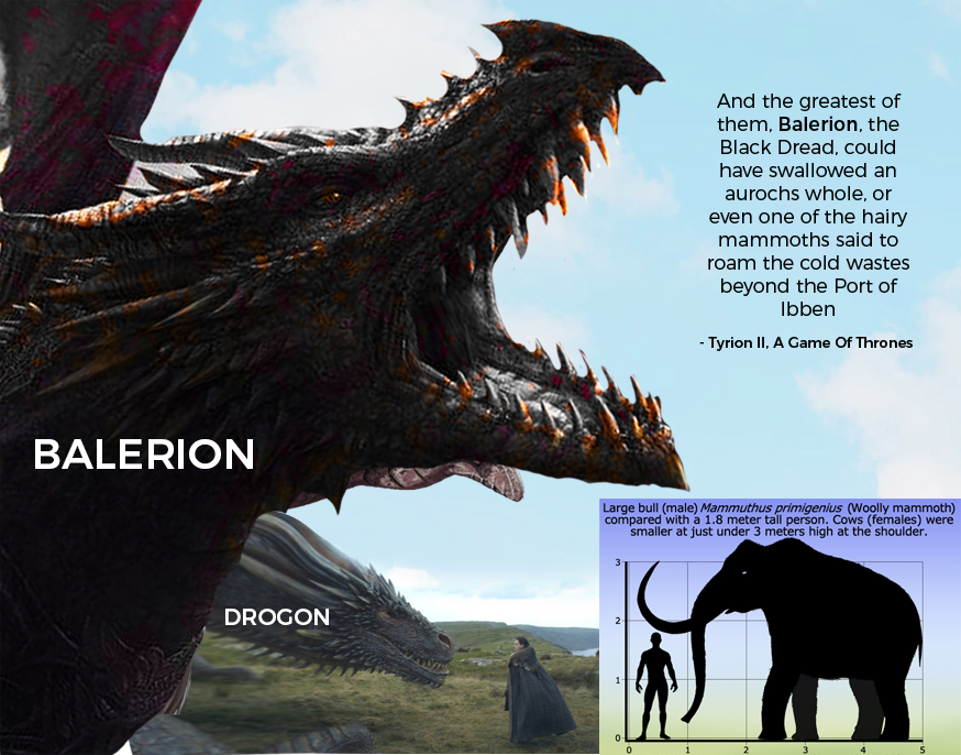 Драконы в game of thrones: факты, теории и шансы на выживание. что ждет драконов в последнем сезоне?