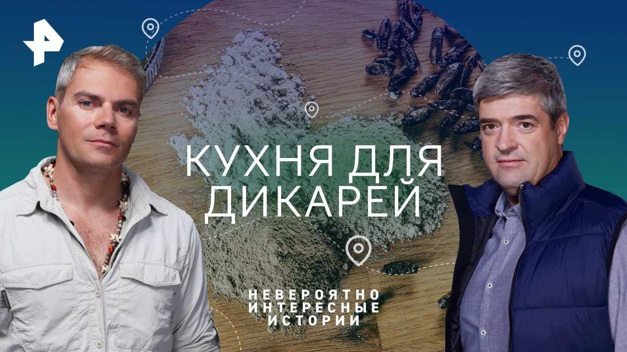 Youtube-фильмы: список каналов с бесплатным кино, что интересного можно посмотреть онлайн и топ-лучших художественных кинолент