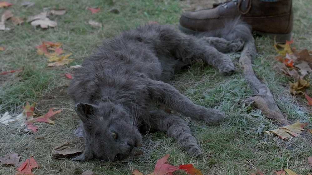 Фильм кладбище домашних животных (pet sematary) (2019) - отзывы, рецензии, новости, актеры и роли, кадры, постеры, трейлеры - kinonews.ru - новости кино. новинки кино