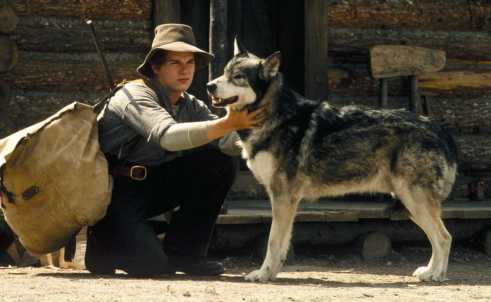 Вой в лесу: 20 лучших фильмов о волках